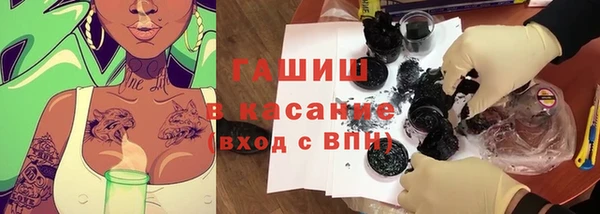 шишки Мурманск