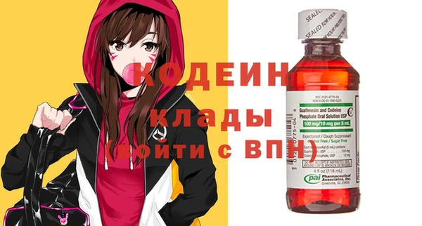 шишки Вяземский