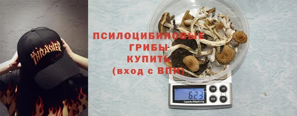 шишки Мурманск