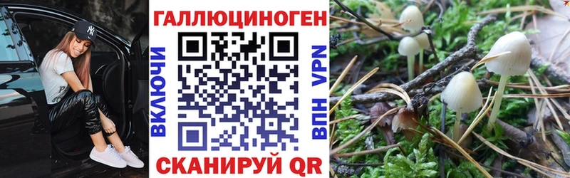 Псилоцибиновые грибы мицелий  Калтан 